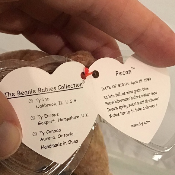 Ty Beanie Babies Almond and Pecan (2) Bears NWT - Picture 9 of 9